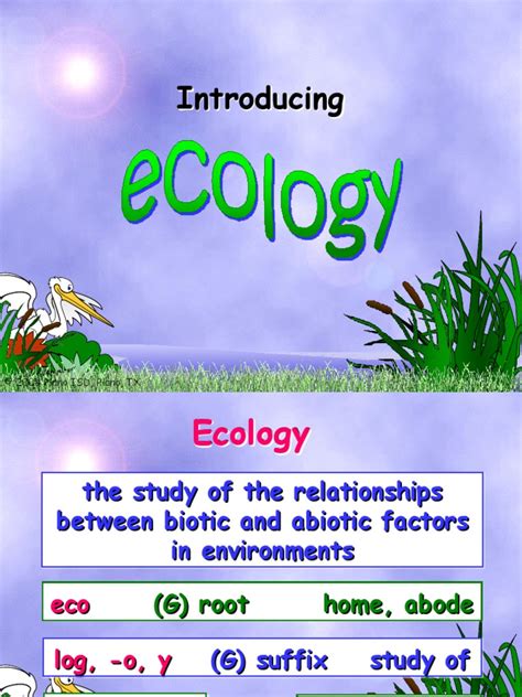 Biotic and Abiotic Factors | PDF | Ecosystem | Ecology