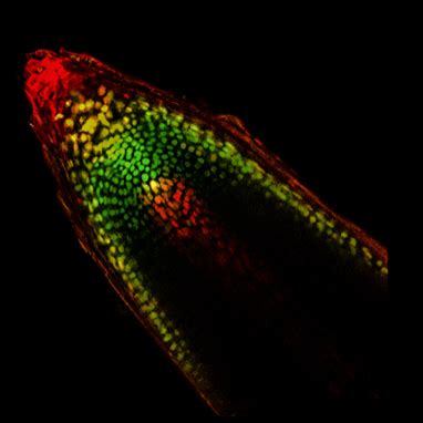 Exploring The Scope And Scale Of The Nanometer SD EPSCoR