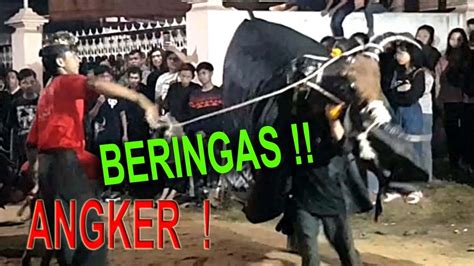 ANGKER DEMIT Bantengan LEMBU SURO MALANG SUKO BANTENGAN LEMBU