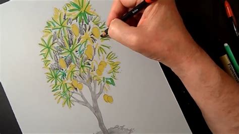 Mango Tree Sketch at PaintingValley.com | Explore collection of Mango ...