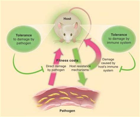 New strategies for treatment of infectious diseases