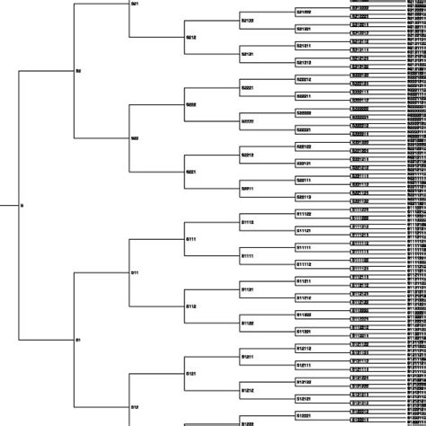 Phylogenetic Tree Inferred By Csi Phylogeny This Is The Un Collapsed