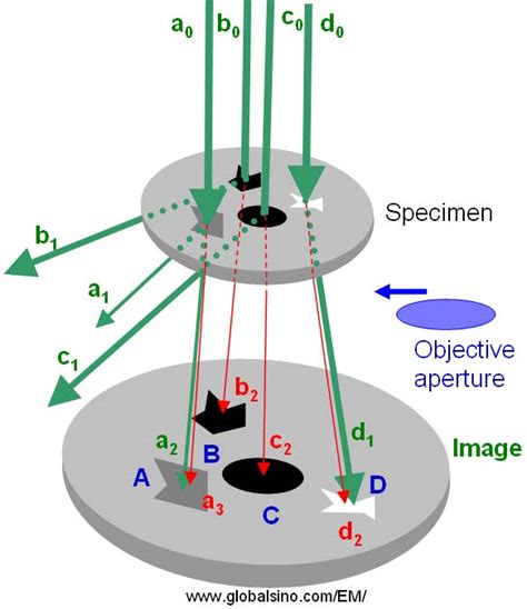 Bright Field Bf Imaging In Tem