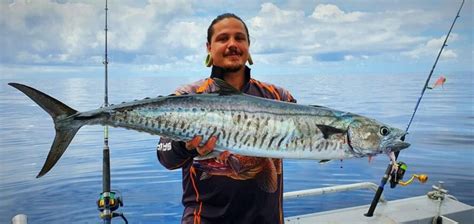 Jay Scores Catch Of The Week With Spanish Mackerel Bundaberg Now