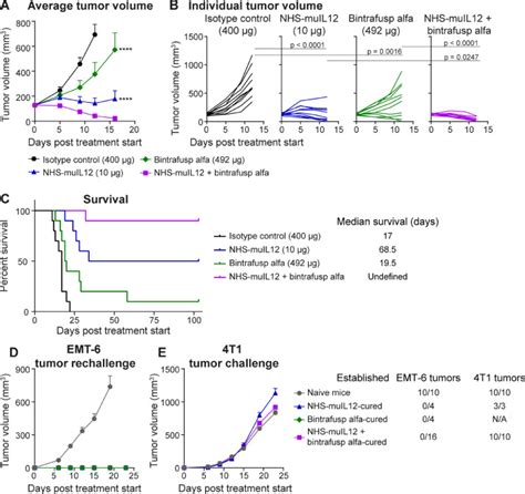 Nhs Il12 And Bintrafusp Alfa Combination Therapy Enhances Antitumor