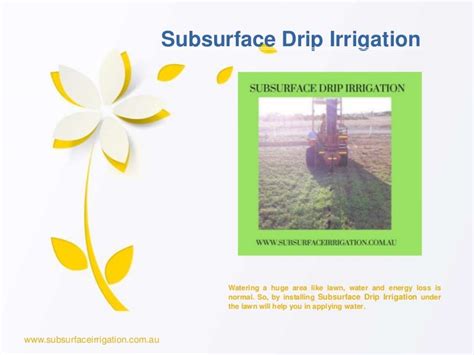 Subsurface drip irrigation