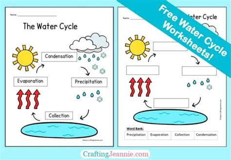 Water Cycle Worksheets (Free PDF) - Crafting Jeannie - Worksheets Library