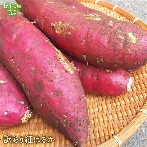 （訳あり）紅はるか 9kg 農薬・化学肥料不使用 鹿児島県産 宮崎県産 訳アリ わけあり B品 土付き さつまいも サツマイモ べにはるか