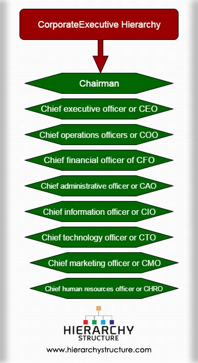 Ceo Cfo Hierarchy - astonishingceiyrs