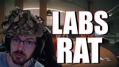 Tarkov Lab Rat YouTube