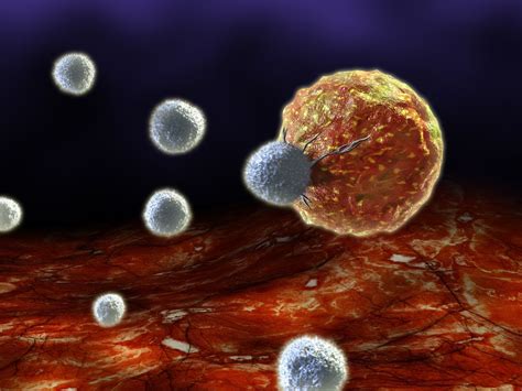 Immune System: Diseases, Disorders & Function | Live Science