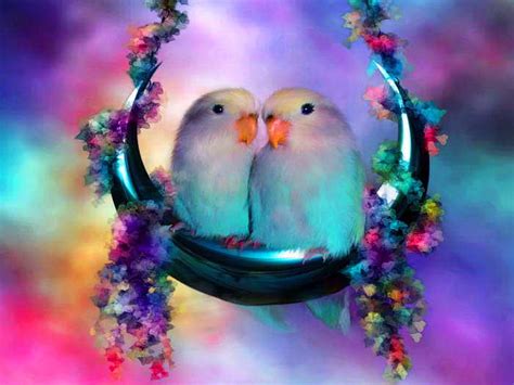 346 Hd Wallpaper Cute Birds Images - MyWeb