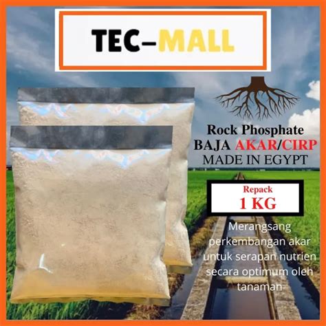 Premium Imported 1kg Repack Baja Penggalak Akar Cirperp Egyptian