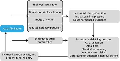 Atrial fibrillation: ECG, classification, causes, risk factors & management – ECG learning