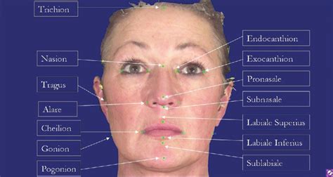 Facial Landmarks Used Download Scientific Diagram