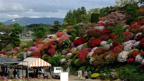 【連載】ドライブで楽しむおすすめの旅 ～春真っ盛りの福島でお花見三昧～ Kurashi No