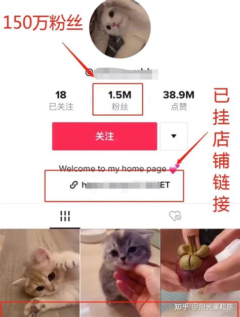 新手玩tiktok3个月，净赚1w多美金（折合人民币7w多）！！ 知乎