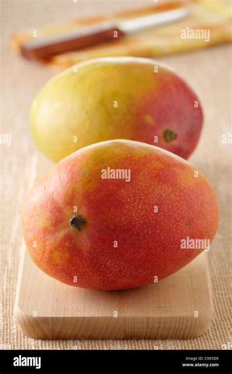 Picture Of Mango Hi Res Stock Photography And Images Alamy