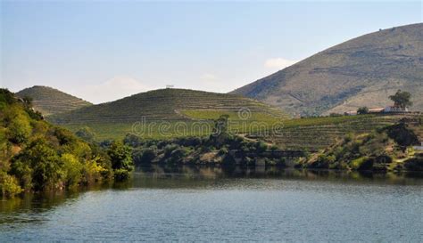 Douro River And The Vineyards Stock Photo Image Of Port Portugal