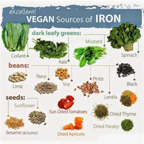 Plant Based Sources Of Iron Susan Deeley Naturopath Online