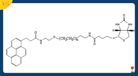 Biotin Peg Pyrene，pyrene Peg Biotin，芘丁酸 Peg 生物素peg化芘衍生物 哔哩哔哩