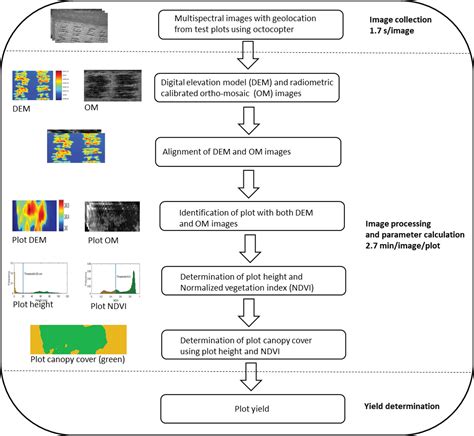 Frontiers Advancing Bromegrass Breeding Through Imaging Phenotyping