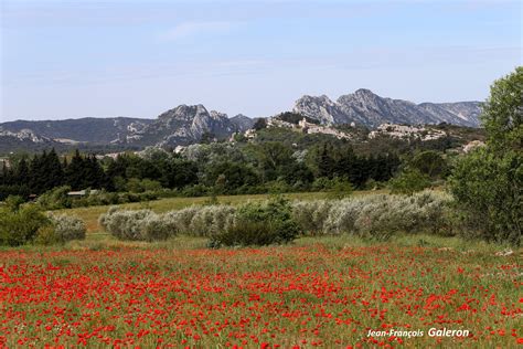 Parc Naturel R Gional Des Alpilles