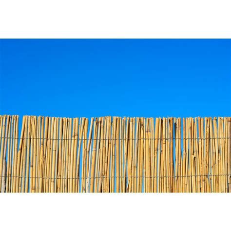 Забор из тростника (107 фото) » НА ДАЧЕ ФОТО