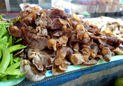 Wood Ear Jew`s Ear Mushroom — Authentic World Food