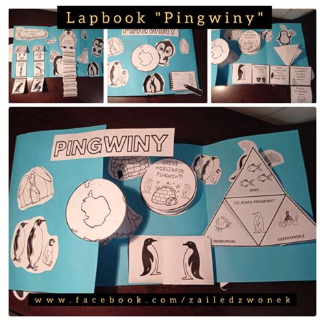 Lapbook Zima Zailedzwonek