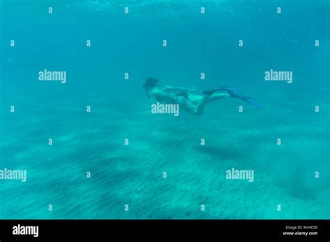 Sous marine bikini girl plongeur tuba Banque de photographies et dimages à haute résolution Alamy