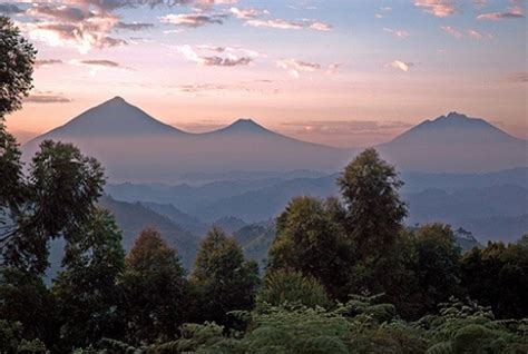 Virunga Mountains and Gorillas in Rwanda, Hiking Routes