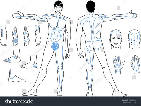32 Naked Massage Handsome Stock Vectors And Vector Art Shutterstock