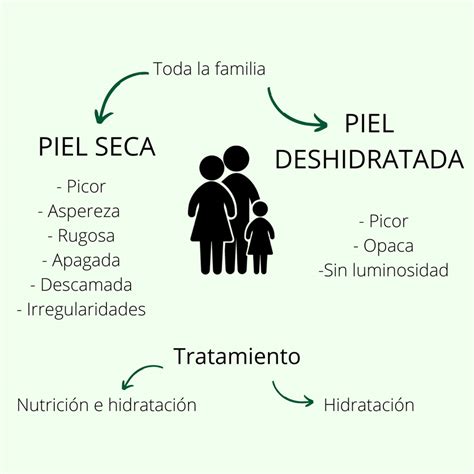 Diferencias Entre La Piel Seca Y La Piel Deshidratada Desc Brelas