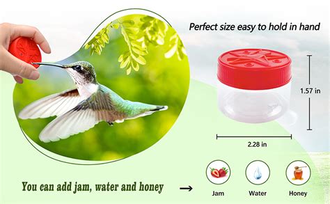 Amazon Handheld Hummingbird Feeder Hummingbird Hand Feeders For