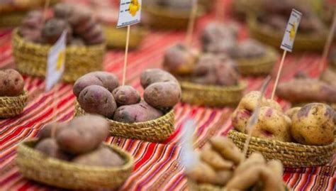 D A Internacional De La Papa Incluye Este Alimento En La Lonchera De