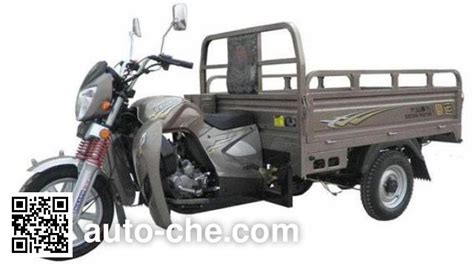 Dayun Cargo Moto Three Wheeler Dy Zh Manufactured By Luoyang Dayun