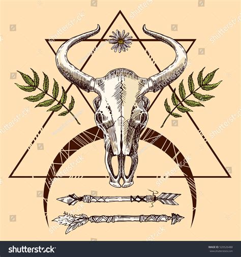 Vector Sketch Illustration Animal Skull Drawing Stock Vector (Royalty Free) 520526488 | Shutterstock