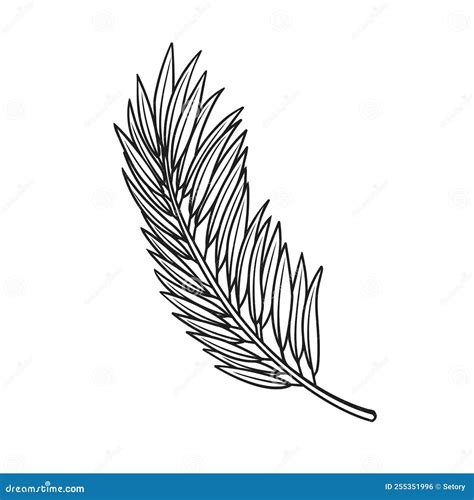 Coconut Palm Leaf Stock Vector Illustration Of Palm