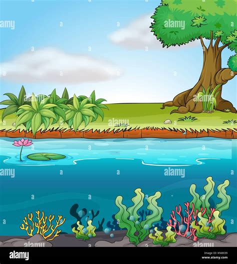 Illustration Of Land And Aquatic Environment In A Colorful Background