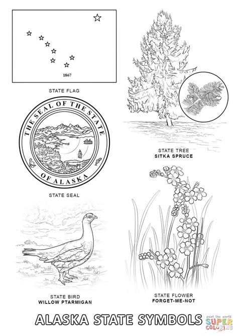 Alaska State Flower Coloring Page Coloring Pages