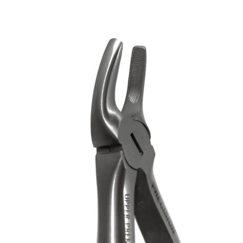 Buy Extraction Forceps Df Adult Upper Premolars Precision