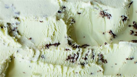 When You Find This Mint Chocolate Chip Ice Cream, Buy 25 Pints | Bon ...