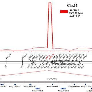 Fine Mapping Of Ahlba A The Major Qtl For Ahlba B Genetic Linkage