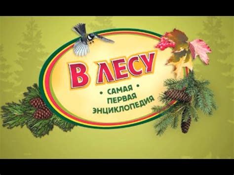 Хочу Знать ВСЕ! В Лесу - Детская Энциклопедия ♥ Мультик Игра ♥ # ...