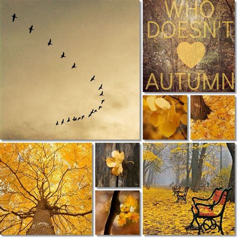 Moodboard Fall By Audrey T Autumn Inspiration Fall Colors Beautiful