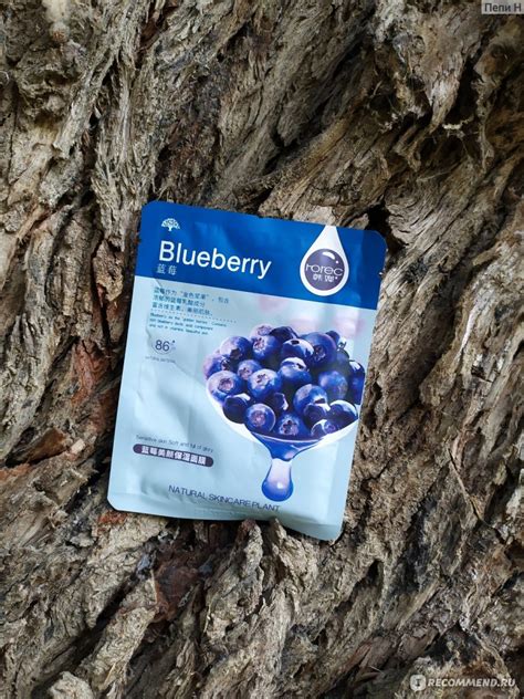 Тканевая маска для лица The Face Shop Real Nature Mask Blueberry Bleuet ...