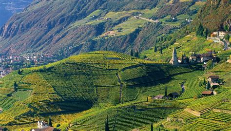 Geologie B Den S Dtirol Wein