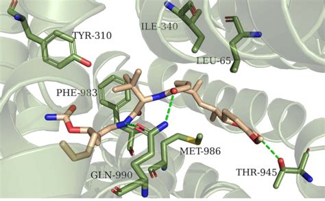 计算机辅助药物设计 分子对接 分子动力学 知乎