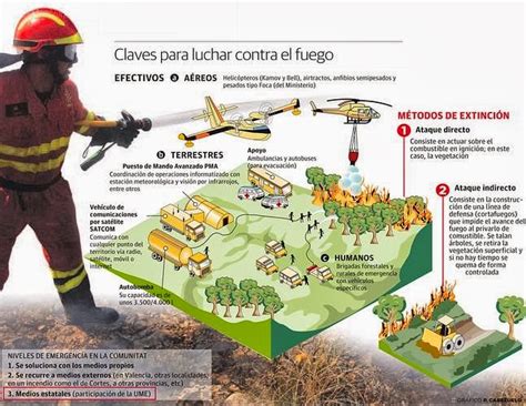 Batallón T 15 Formas De Combatir Incendios Forestales